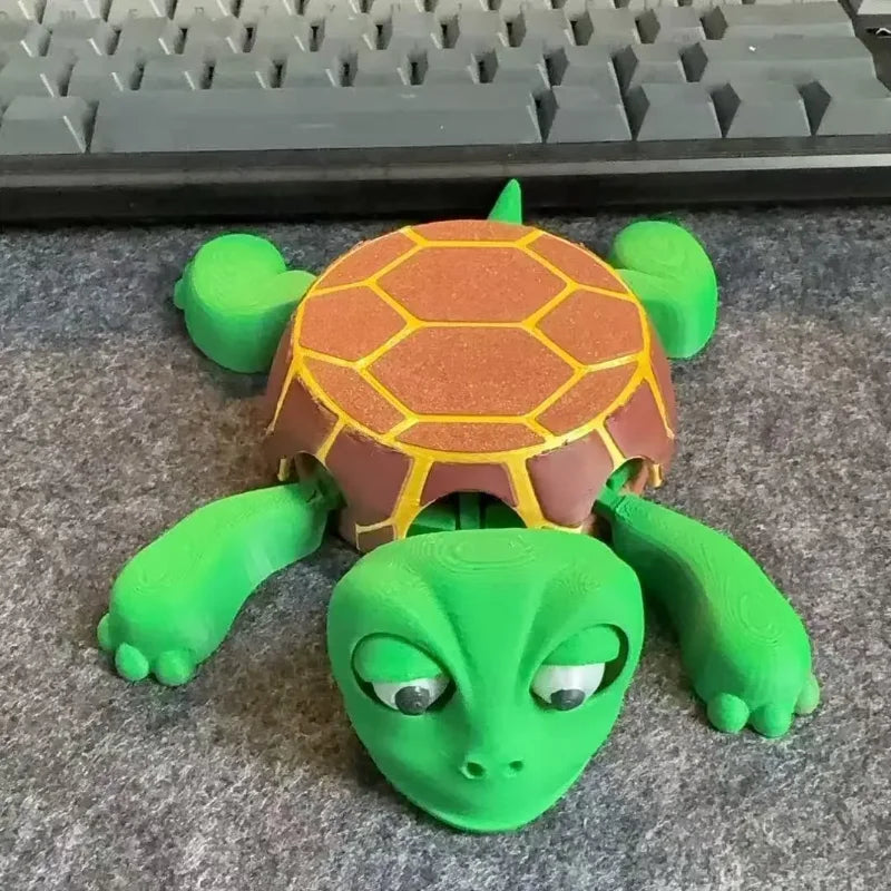 Funny Turtle Coaster