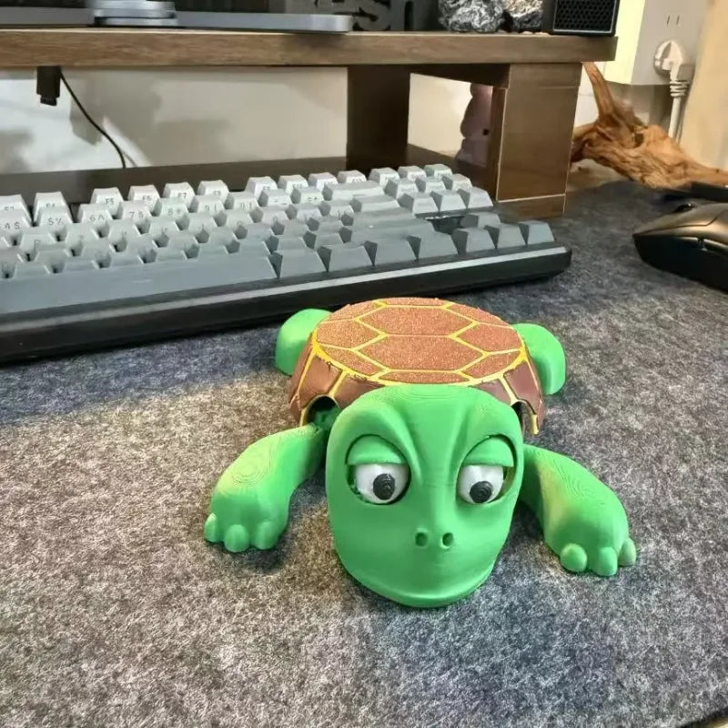 Funny Turtle Coaster