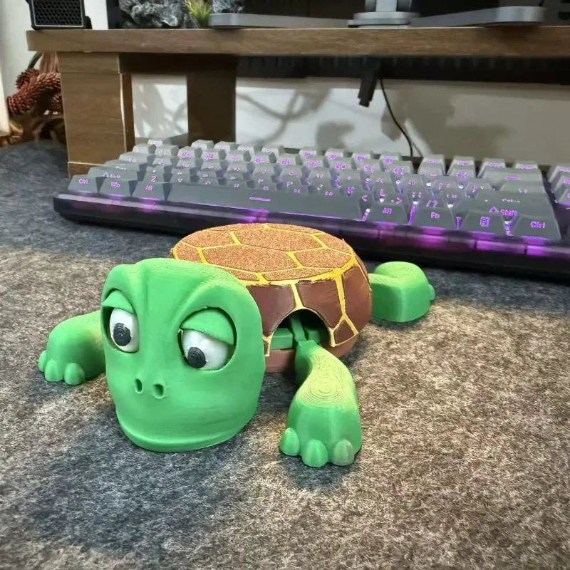 Funny Turtle Coaster