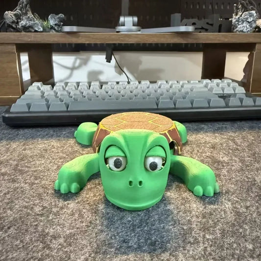 Funny Turtle Coaster